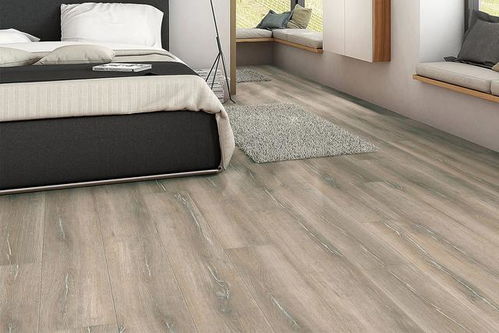 德國Haro品牌木地板 品質與設計的完美融合，暢銷全國